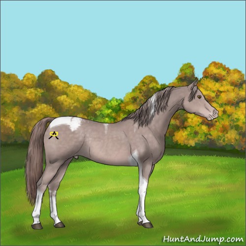 Horse Color:Platinum Chestnut Sabino Tobiano Snowcap Rabicano