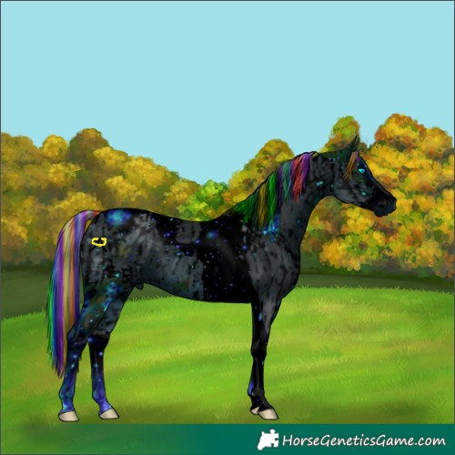 Horse Color:ERROR: UNKNOWN ANOMALY and ERROR: UNKNOWN ANOMALY