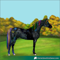 Horse Color:ERROR: UNKNOWN ANOMALY and ERROR: UNKNOWN ANOMALY