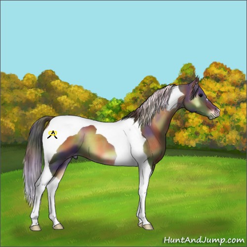 Horse Color:Nacre Smoky Blue Onyx Tobiano 