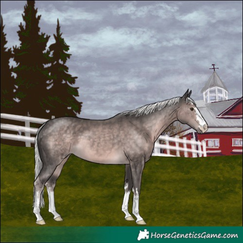Horse Color:Platinum Chocolate Palomino 