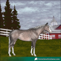 Horse Color:Platinum Chocolate Palomino