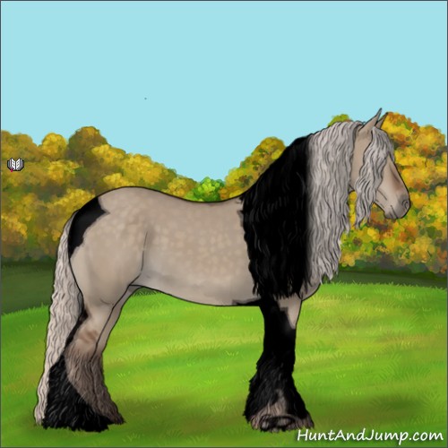 Horse Color:Void Silver Grullo Tobiano