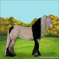 Horse Color:Void Silver Grullo Tobiano