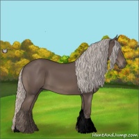 Horse Color:Void Silver Black Tobiano 