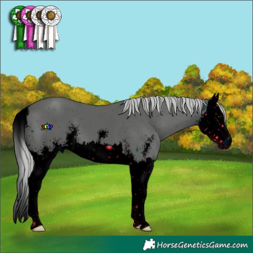 Horse Color:ERROR: UNKNOWN ANOMALY