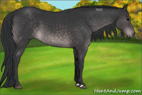 Horse Color:Platinum Brown 