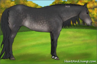 Horse Color:Platinum Brown 