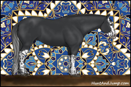 Horse Color:Black and Black Splash