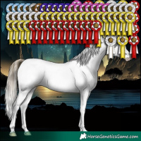Horse Color:White Spotted Buckskin Pearl Appaloosa 