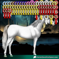 Horse Color:White Spotted Buckskin Pearl Appaloosa 