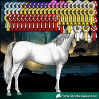 Horse Color:White Spotted Buckskin Pearl Appaloosa 