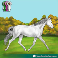 Horse Color:Gray Classic Champagne Dun Sabino Splash Tobiano