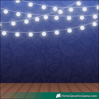 Horse Color:Platinum Bay Tobiano 