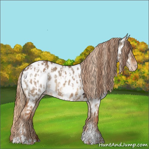 Horse Color:Red Dun Appaloosa  and Red Dun Appaloosa 