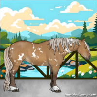 Horse Color:White Spotted Silver Buckskin Dun 