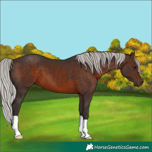 Horse Color:Silver Brown 