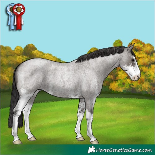 Horse Color:Smoky Grullo Roan Sabino 