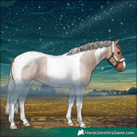 Horse Color:Silver Brown Roan Dun Tobiano Rabicano 