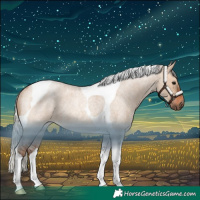 Horse Color:Silver Brown Roan Dun Tobiano Rabicano