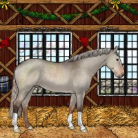 Horse Color:Silver Brown Roan Dun 