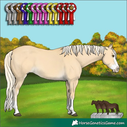 Horse Color:Palomino Dun Splash
