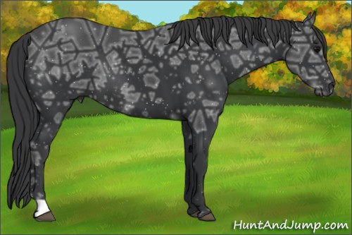 Horse Color:Black Ice 