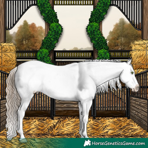 Horse Color:White Spotted Liver Red Dun Varnish 