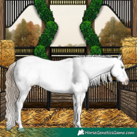 Horse Color:White Spotted Liver Red Dun Varnish 