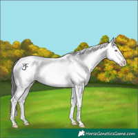 Horse Color:Liver Chestnut Snowcap 
