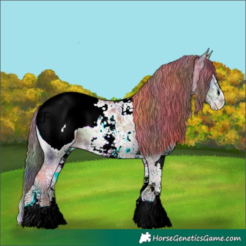 Horse Color:Nacre Plaid  White Spotted Chocolate Brown Ice Onyx Mushroom Appaloosa 