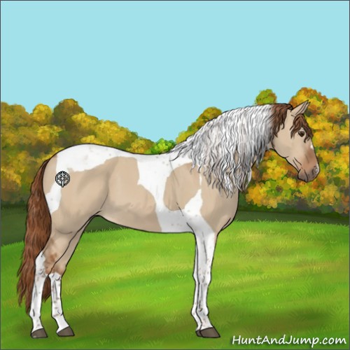 Horse Color:Red Dun Tobiano