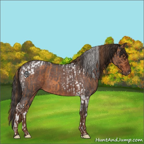 Horse Color:Chestnut Tobiano and Liver Red Roan