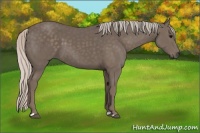Horse Color:Silver Black 