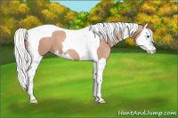 Horse Color:Gold Champagne Mushroom Splash Tobiano 