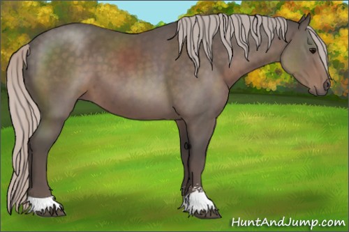 Horse Color:Silver Black Sabino 