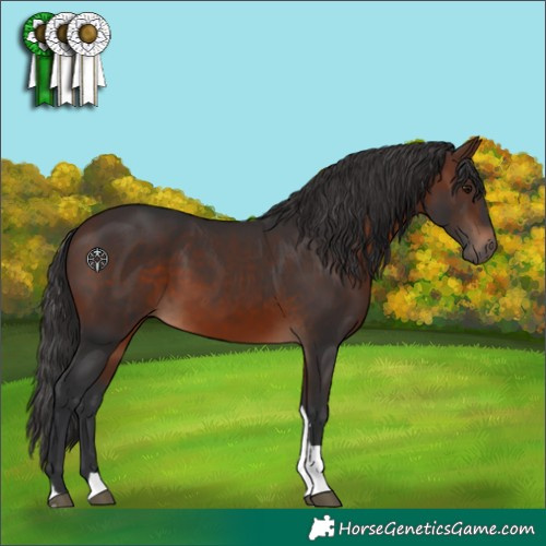 Horse Color:Brown Tobiano 