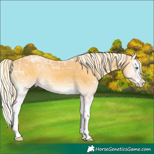 Horse Color:Palomino Ice Onyx Splash 