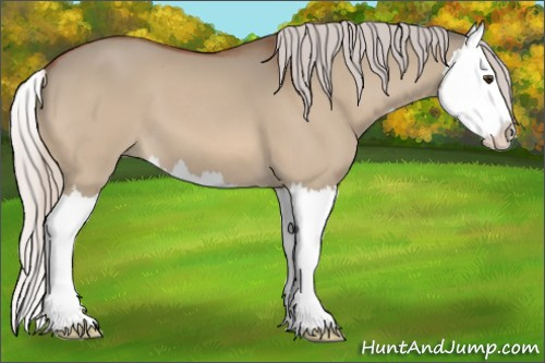 Horse Color:Silver Bay Dun Splash 