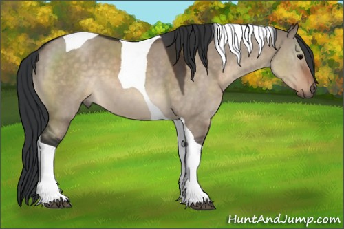 Horse Color:Brown Dun Tobiano 