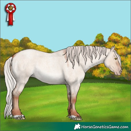 Horse Color:Silver Sable Champagne Roan Dun 