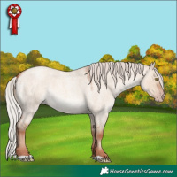 Horse Color:Silver Sable Champagne Roan Dun