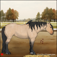 Horse Color:Bay Roan Dun 