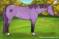 Horse Color:Platinum Painted Buckskin Dun 