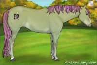 Horse Color:Platinum Painted Red Dun Sabino 