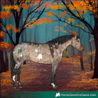 Horse Color:White Spotted Brown Dun Brindle 