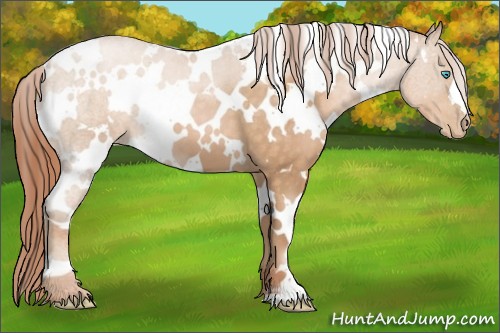Horse Color:White Spotted Buckskin Pearl 