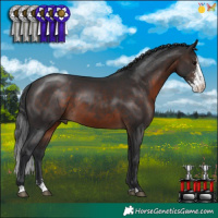 Horse Color:Brown Sabino 