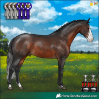 Horse Color:Brown Sabino