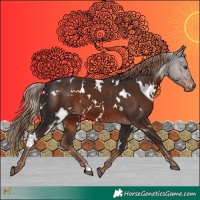 Horse Color:White Spotted Liver Chestnut 